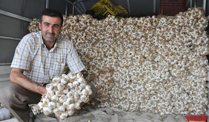 Kastamonu'nun Taşköprü ilçesinde ata tohumundan vazgeçmiyor