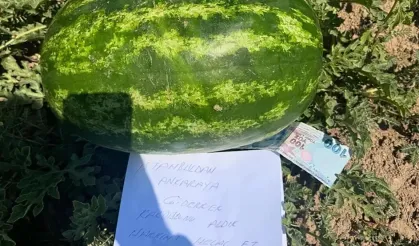 "Küçük Bir Karpuz, Büyük Bir Vicdan"