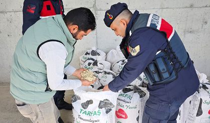 Nevşehir’de Çalınan Kabak Çekirdeği Sahibine Teslim Edildi