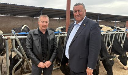 Gürer: “Son 5 yılda 4 milyondan fazla sığır kaybı yaşandı, 112 bin işletme kapandı”