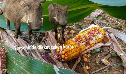 Nevşehir’de dikkat çeken karar!