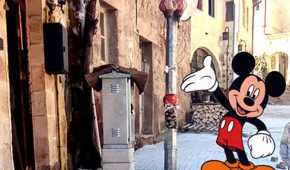 “Medaş Kaş yapalım derken göz çıkartma misali?”