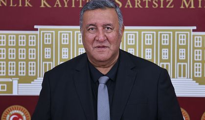 Gürer: “Narenciye Ülkesinde Limon İthal Ediyoruz, Bu Plansızlıktır”