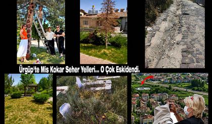 ÜRGÜP'TE "MİS KOKAR SEHER YELLERİ" TARİH OLDU! VATANDAŞ: "KOKUDAN NEFES ALAMIYORUZ"