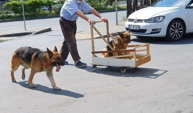 Keşke herkes Bu Güzel Amcamız kadar İNSAN Olabilsek.