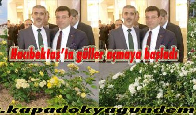 Hacıbektaş’ta güller açmaya başladı 