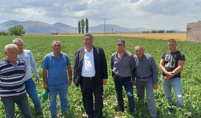 Gürer: “Patates üreticisi kaygılı”