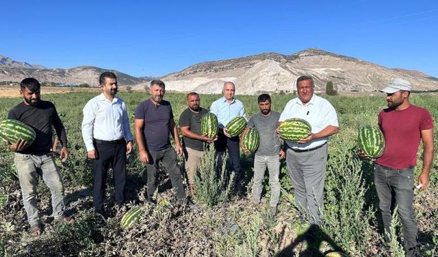 Gürer: “Karpuz tarlada kaldı”