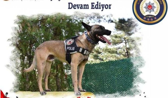 Uyuşturucu İle Mücadelemiz Devam Ediyor.