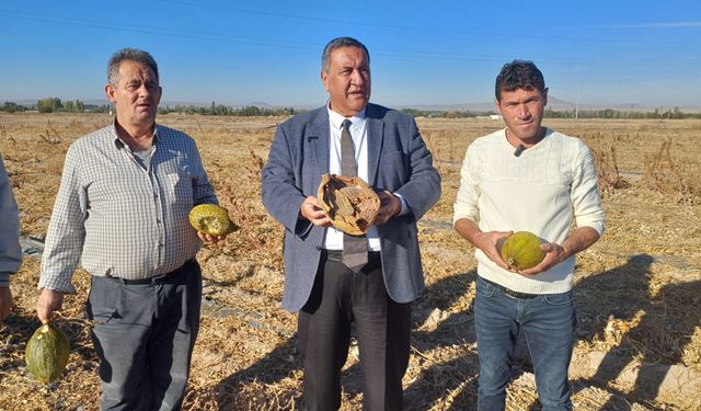 CHP Niğde Milletvekili Ömer Fethi Gürer, kavun tarlasından çiftçilerin sesini duyurdu.