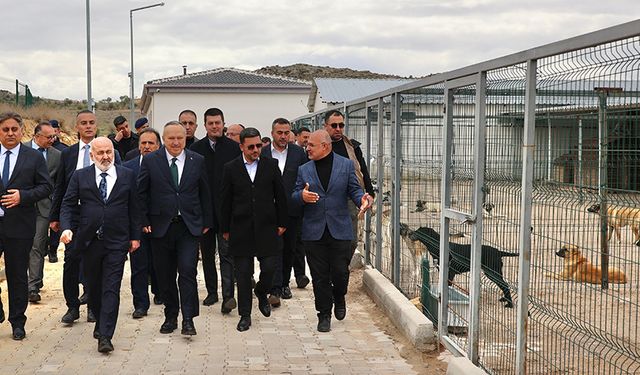 Bakan Yardımcısı Sağlam, Hayvan Kasabası’nı Ziyaret Etti