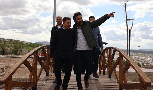 Arı, Çalışma Alanlarını İnceledi