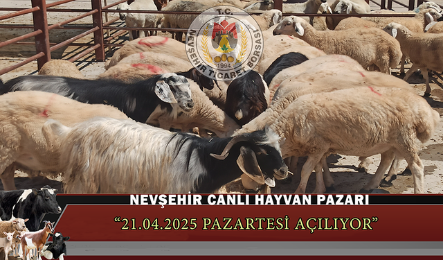 Nevşehir Hayvan Pazarı Açılıyor!