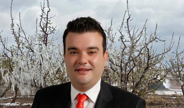 Tarlada Çiftçi Sesiz