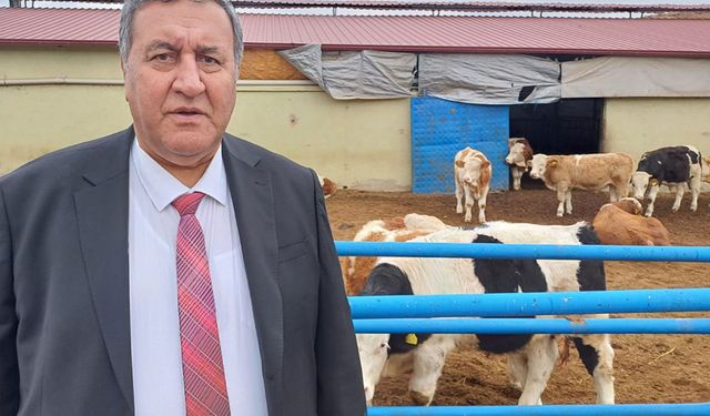 Gürer: “Hayvancılıkta yaşanan sorunlar et üretimine yansıyor”