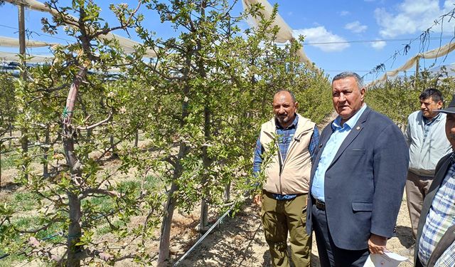 CHP Niğde Milletvekili Gürer: “Üretici, çiftçi ve ürün dondu. Destek şart”