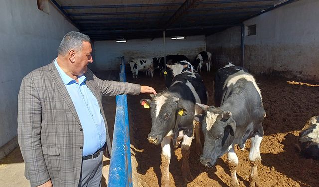 Besici “Büyükbaş hisse bedeli 35 bin TL’yi aştı”