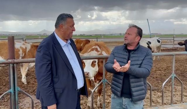 Gürer: “Çiğ süt krize doğru koşuyor”