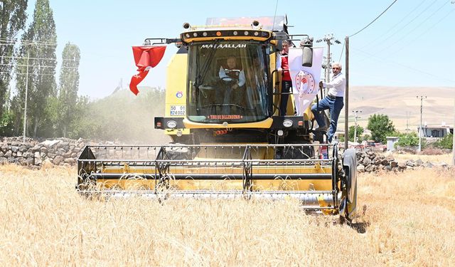 🌾 Nevşehir’de Buğday Hasadı Tüm Hızıyla Devam Ediyor! 🚜