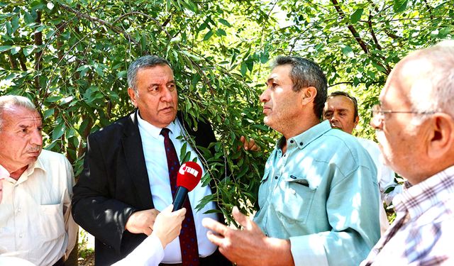 Gürer: “Dalda ürünü don vurması raf fiyatlarını uçurdu”