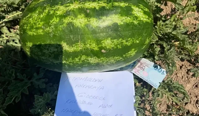 "Küçük Bir Karpuz, Büyük Bir Vicdan"