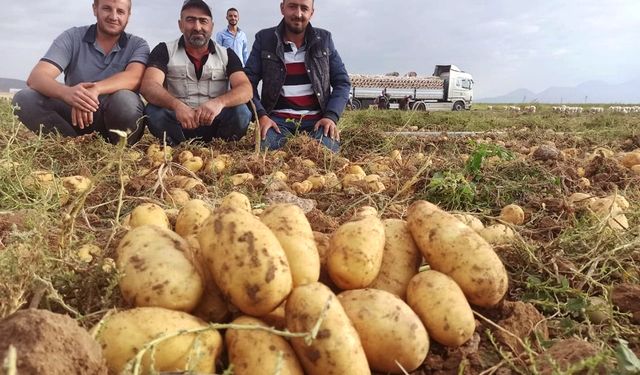 A Parti Umut Ergül: Hükümet Soğanı-Patatesi Yönetemedi, Üretici Tarlasını Sürüyor