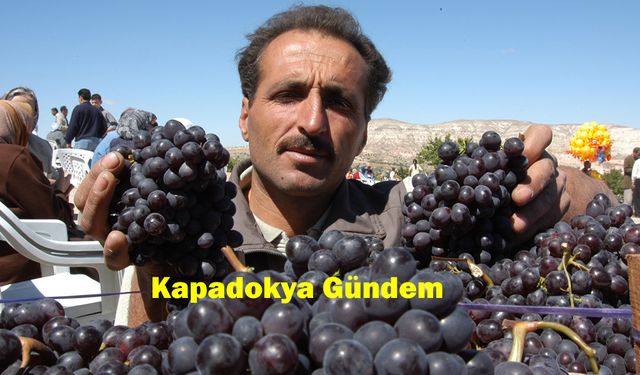 Ürgüp’ün Meşhur Dimrit Siyah Üzümü El Yakıyor!