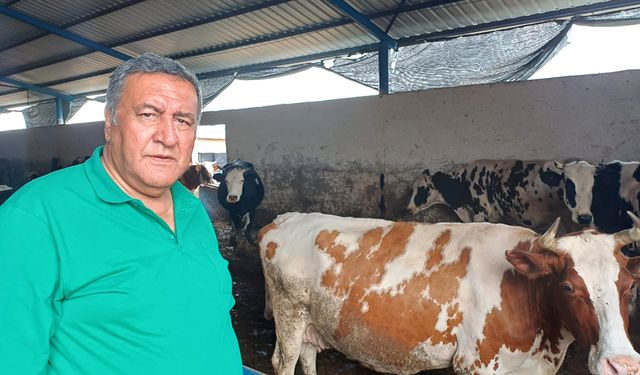 Gürer: “Üretici bir litre süt satıp bir bardak çay içemez hale geldi”
