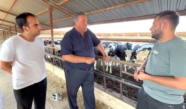 Gürer: “Şap salgını hayvancılığı vurdu”