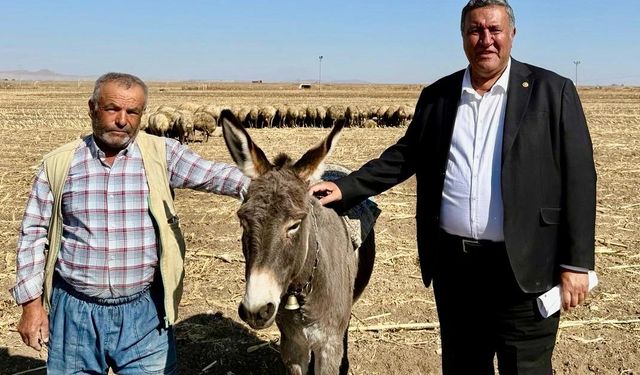 CHP’li Gürer: “Hayvancılıkta kriz derinleşiyor, üretici ayakta kalamıyor”