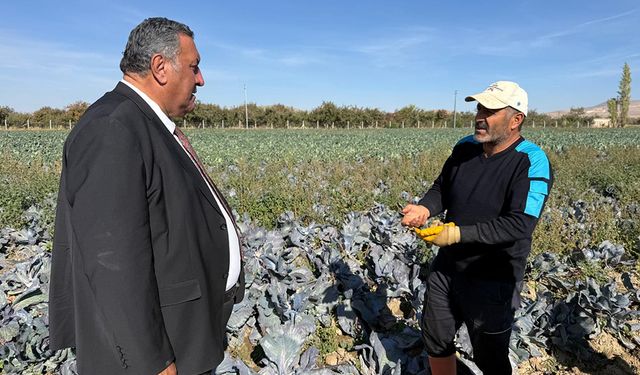 CHP Niğde Milletvekili Ömer Fethi Gürer, Niğde’de sebze üreticilerini ziyaret etti.