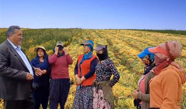 Gürer: “Mercimeğin anavatanıyken mercimek ithal eder hale geldik”