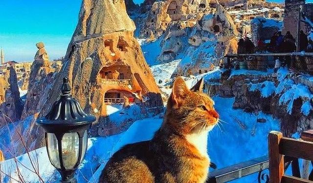 Meteoroloji uyardı! Zemheri soğukları kapıda