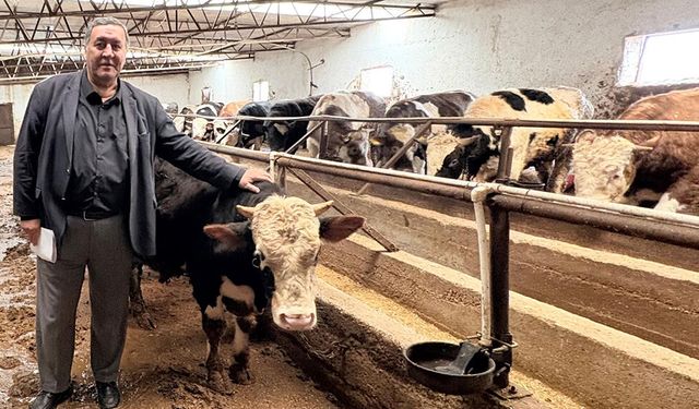 Gürer: Şap hastalığı hayvancılığı vuruyor