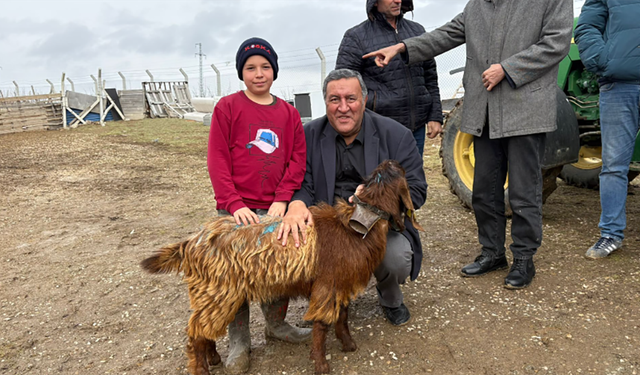 Gürer: Köylü üretiyor ama yalnız bırakılıyor