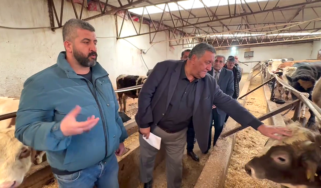 GÜRER: “HAYVANCILIKTA ALARM ZİLLERİ ÇALIYOR, AHIRLAR BOŞALIYOR”