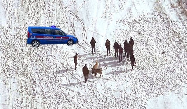 Avanos’ta Köpek Dövüşüne Jandarma Müdahalesi: 10 Kişi Hakkında İşlem