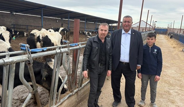 Ömer Fethi Gürer: “Hayvancılıkta sorunlar seyrederek çözülmez”