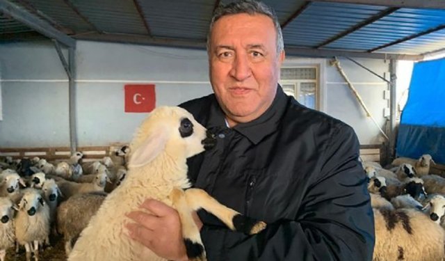 “17 Bin Kilometreden Et, Vatandaşa Hâlâ Ulaşmıyor: Gürer’den İthalat Politikalarına Sert Tepki”