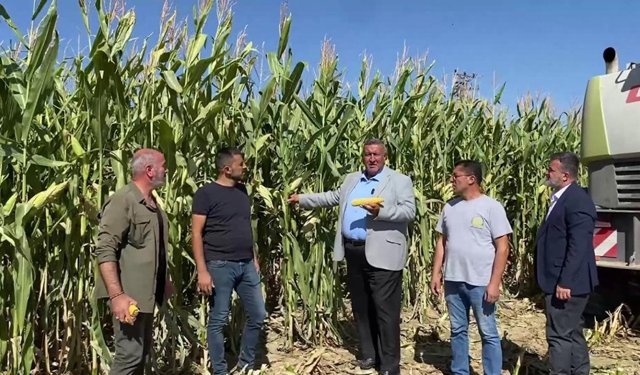 Gürer’den TMO’ya Sert Eleştiri: “Çiftçiden Ucuza Al, İthalatı Pahalıya Satıyorlar”