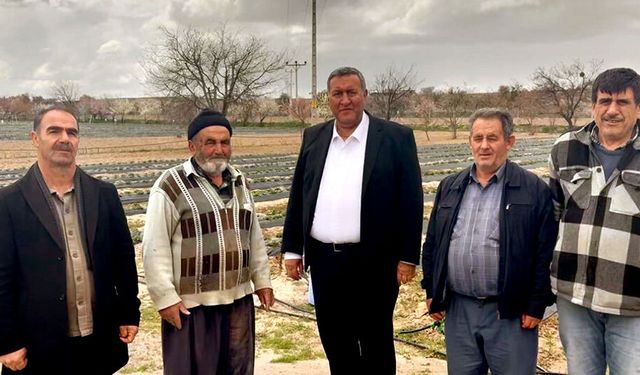 “Çiftçi Çöküyor: Borç, Don ve Maliyet Kıskacında Üretim Bitiyor”