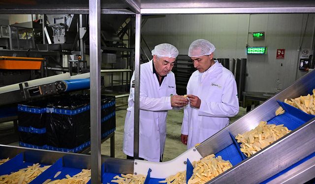 Vali Hüseyin Kök, Doğa Tohumculuk Tesislerinde İncelemelerde Bulundu.