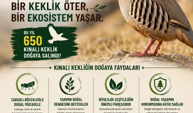 Ürgüp'te Vatandaşlardan Kınalı Keklikler İçin Av Yasağı Talebi