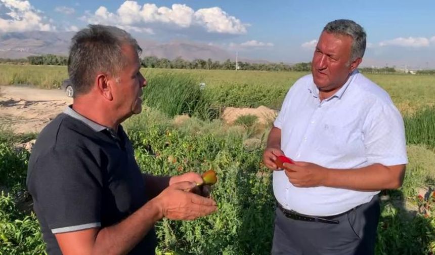 CHP Niğde Milletvekili Ömer Fethi Gürer, “Tarımda hiç böyle dönem yaşanmadı.”