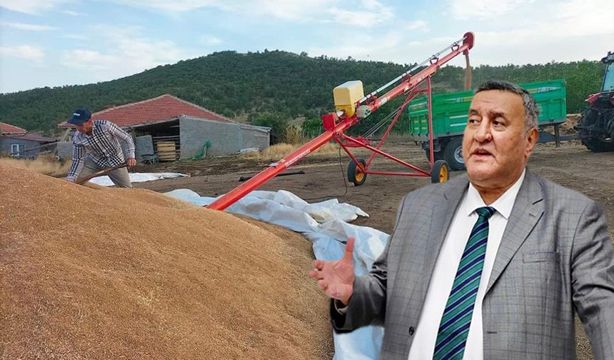 Gürer: “Buğday alım fiyatı enflasyon dikkate alınarak açıklanmalıdır”
