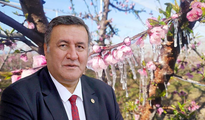 Gürer: “Zirai don sonucu tarım dondu”
