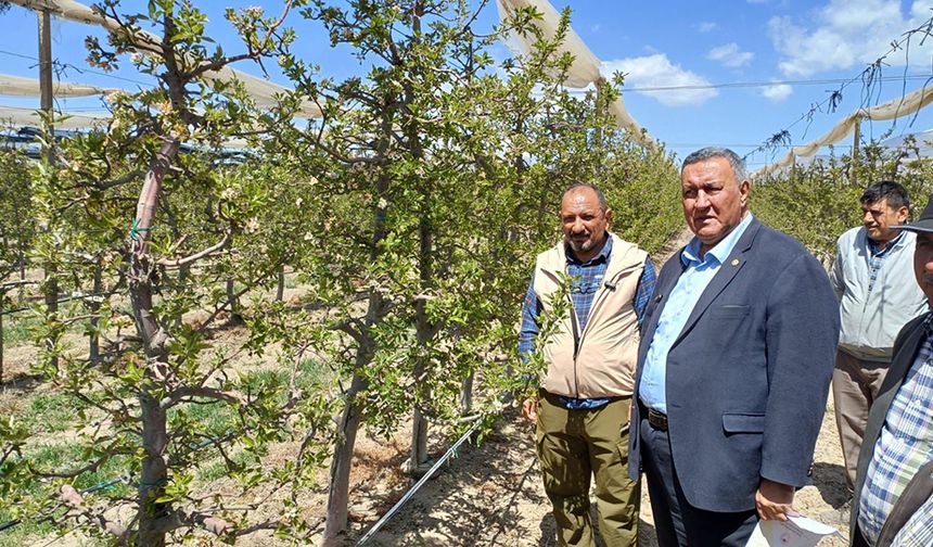 CHP Niğde Milletvekili Gürer: “Üretici, çiftçi ve ürün dondu. Destek şart”