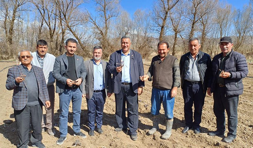 Gürer: “Lahana da üretici de dondu”