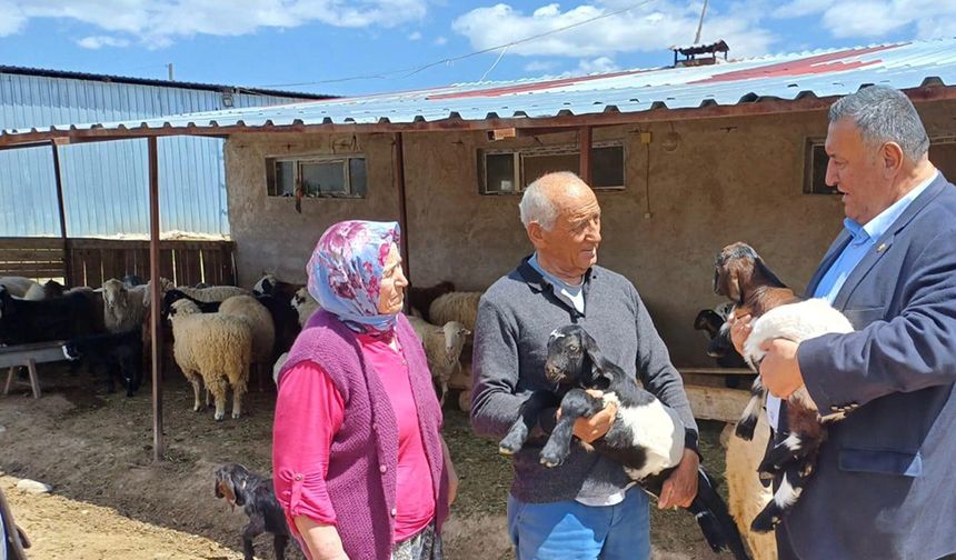 Gürer: “Küçük aile tipi işletmelerde hayvancılık S.O.S veriyor”