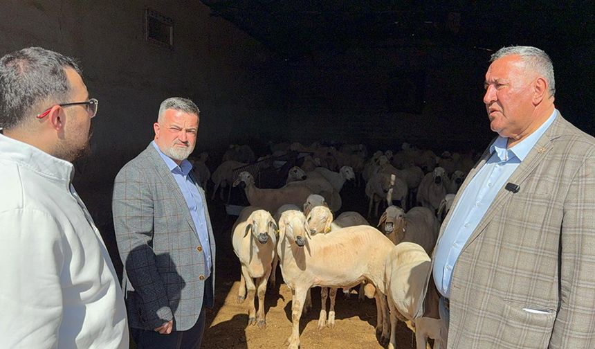 Gürer: “Emekli maaşı ile kurban alınamazken asgari ücrete de kurbanlık koyun zor”